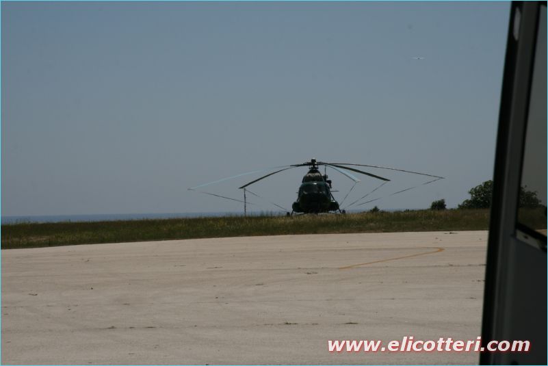 elifoto (206)